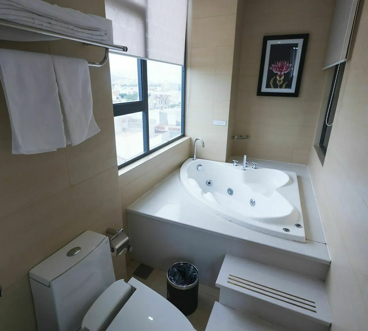 Azumaya Hotel Дананг 3*,  Вьетнам